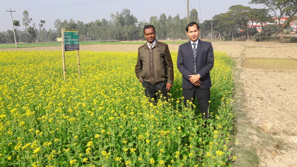 ডাল তেল ও পেঁয়াজ